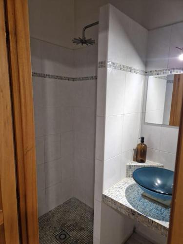 une salle de bains avec des toilettes bleues assises sur un comptoir dans l'établissement Bel appartement indépendant type 2, à Alata