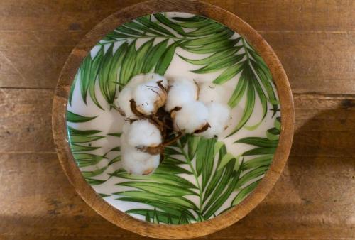 a plate of food with leaves on a table at Welcome Home in North Vancouver