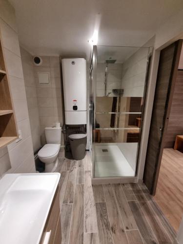 une salle de bain avec une douche, des toilettes et un lavabo dans l'établissement Location comme à la maison, à Gresse-en-Vercors