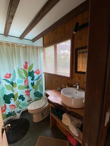 a bathroom with a sink and a toilet at Espíritus del Cañi. Tiny home y destilería in Pucón