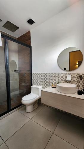 a bathroom with a toilet and a sink and a mirror at Casa Madero 227 in Aguascalientes