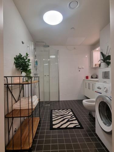a bathroom with a shower and a toilet and a sink at Central Apartment Ålesund in Ålesund
