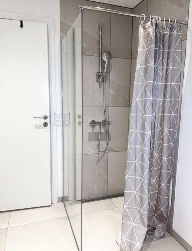 比倫德的住宿－The Heart of Billund apartment，浴室里设有玻璃门淋浴