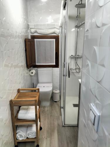 a small bathroom with a toilet and a shower at Casa la florida in Puebla de Sanabria