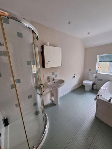 a bathroom with a shower and a sink and a toilet at Rural Retreat near Dorking in Dorking