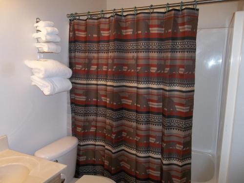 a bathroom with a shower curtain and a toilet at Douglas Inn & Suites, Blue Ridge, GA in Blue Ridge