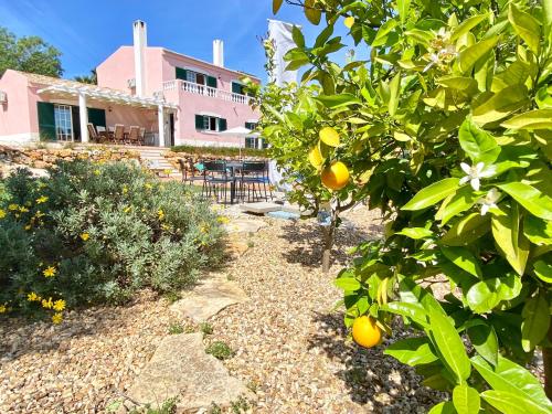 an orange tree in front of a pink house at Casa Rosa in Lagos