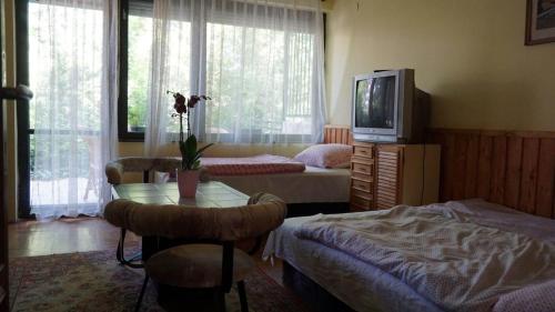 - une chambre avec 2 lits, une télévision et une table dans l'établissement Zöldellő Apartmanház, à Siófok