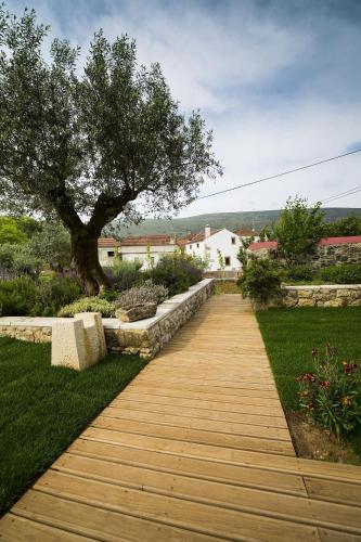 a wooden walkway in a garden with a tree at Casa dos Aromas - Nature Tourism in Alvados