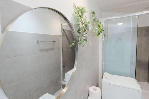 ein Bad mit einer Dusche, einem WC und einem Spiegel in der Unterkunft Le Pinky Bird - Maisons Alfort in Maisons-Alfort