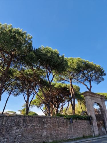 Vacanze Romane Apartments - Vatican City photo 26