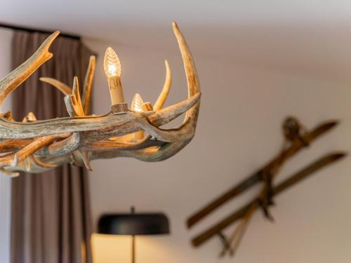 a deer antlers hanging on a wall at Wanderlust Mountain Chalet in Turracher Hohe