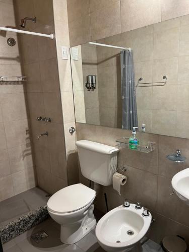La salle de bains est pourvue de toilettes et d'un lavabo. dans l'établissement Lautaro, à San Juan