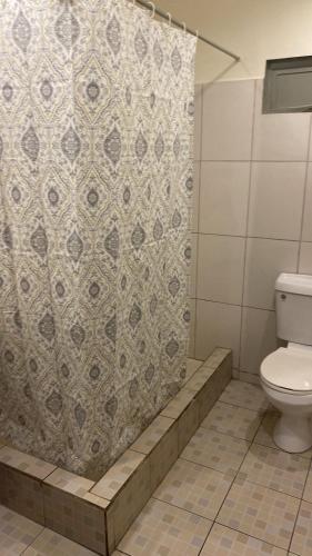 een badkamer met een toilet en een douchegordijn bij Riverside Apartment in Arouca