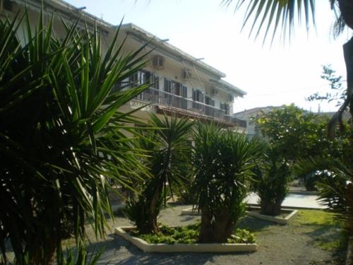 Zahrada ubytování Hotel Apolafsi