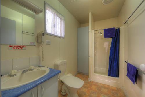 y baño con lavabo, aseo y ducha. en Governors Hill Carapark, en Goulburn