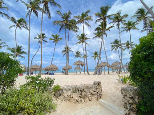 une plage de sable avec des palmiers et l'océan dans l'établissement LOS CORALES VILLAS and SUITES - BEACH CLUB, SPA, RESTAURANTS, à Punta Cana