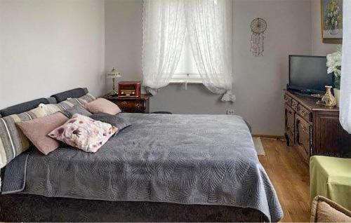 sypialnia z dużym łóżkiem i telewizorem w obiekcie Stunning Home In Trynisze Moszewo With Wifi w mieście Ciechanowiec