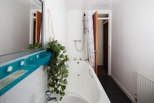 un baño con una bañera blanca con una planta. en Fab Arthur Seat Views, Old Town Apartment, en Edimburgo
