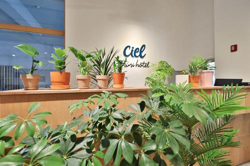 a bunch of potted plants sitting on shelves at Ciel mini hotel in Gyeongju