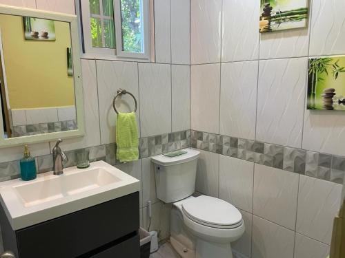 a bathroom with a white toilet and a sink at Taste Of Freedom in Brighton Village