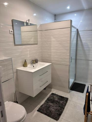 une salle de bain blanche avec un lavabo et une douche dans l'établissement Deluxe appartement Jacuzzi, à Freneuse