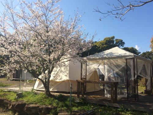 a tent in a field with a tree at Yamamizuki in Shimanto