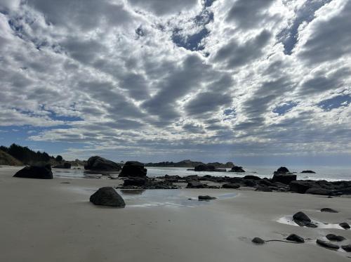 a sandy beach with rocks and a cloudy sky at Cloud 9 in Karitane