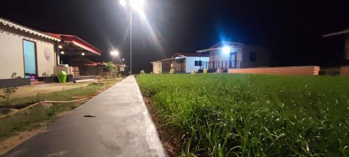 a street at night with a street light and grass at Gitanjali Forest Retreat in Bāghmundi