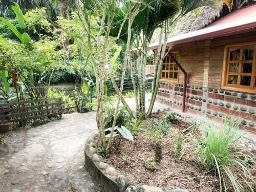 Galeriebild der Unterkunft Coatí Lodge Misahuallí - FamiliyJungleParadise in Puerto Misahuallí