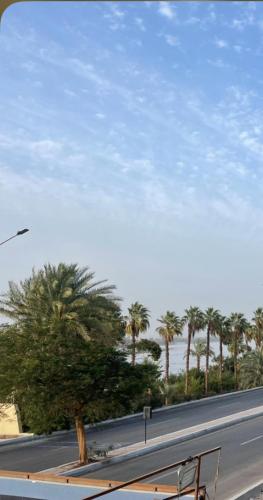 eine Bank an der Seite einer Straße mit Palmen in der Unterkunft Apartment in Luxor Resort, next to Raya Market in Nag` Naqsha