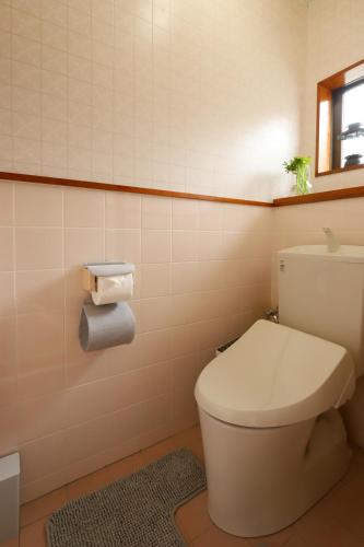 a bathroom with a white toilet in a room at 貸切民泊宿 だんねだんね Private guest house Danne-Danne in Ōno