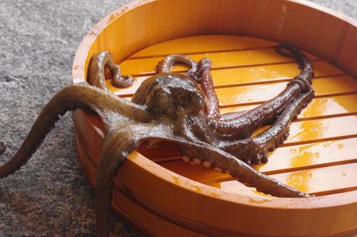 an octopus is sitting in a bucket at Sennenmatsu in Imabari