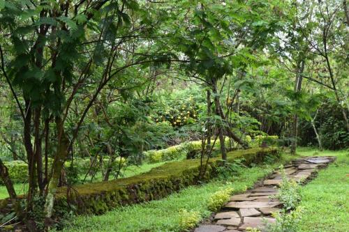 een stenen pad door een tuin met bomen bij Room in BB - Red Rocks Rwanda - Tent Twin in Nyakinama