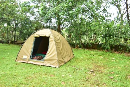 een tent in het gras in een veld bij Room in BB - Red Rocks Rwanda - Tent Twin in Nyakinama