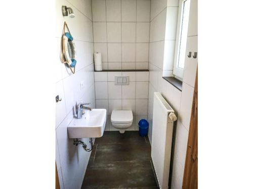 a small bathroom with a toilet and a sink at Borkum Freedom 2 in Borkum