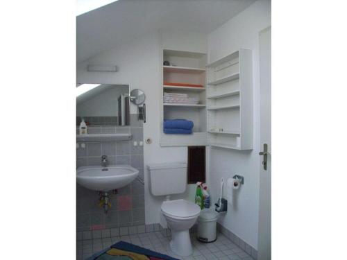 a small bathroom with a toilet and a sink at Haus Becker-Schmidt, St Blasien in St. Blasien