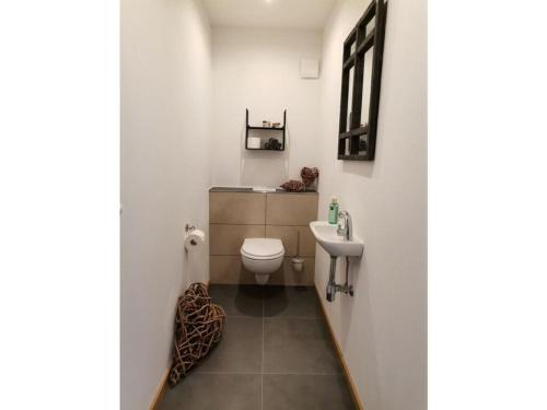 een badkamer met een toilet en een wastafel bij Favorite place 3 in Garmisch-Partenkirchen