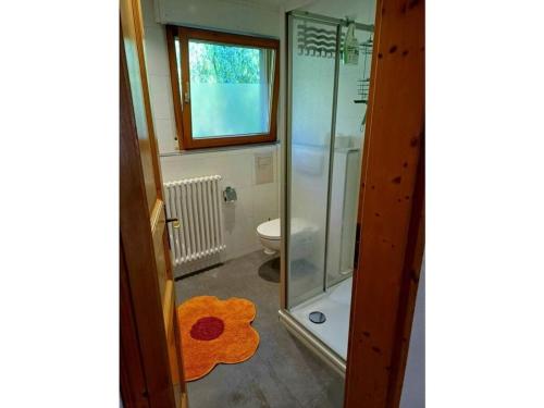 a bathroom with a shower and a toilet and a rug at Eisenmann holiday farm in Gengenbach