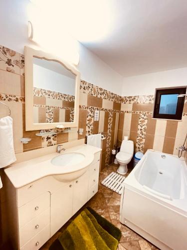 a bathroom with a sink and a tub and a toilet at Presidential Apartment in Suceava