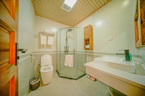 y baño con ducha, aseo y lavamanos. en 九寨沟阿布氇孜民宿Jiuzhaigou Valley Abluzi B&B, en Jiuzhaigou