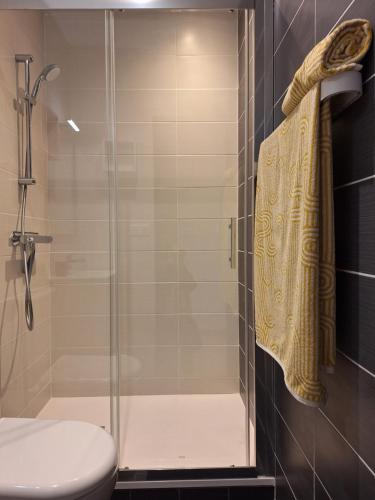 ein Bad mit einer Dusche und einem WC in der Unterkunft Chambre GUSTAV in Agen