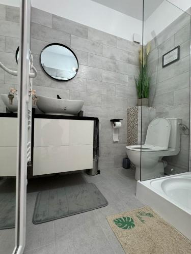 a bathroom with a sink and a toilet and a mirror at TS Room in Curtea de Argeş