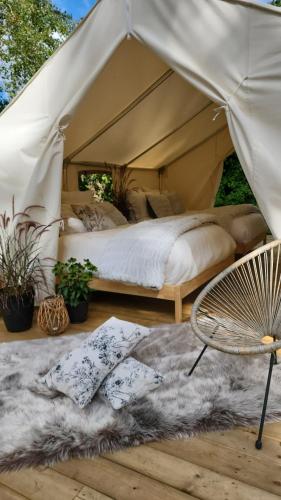 戴爾他的住宿－Coyote Point Lodge，帐篷配有床、椅子和地毯