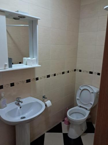 a bathroom with a sink and a toilet and a mirror at Belveder Montenegro in Rafailovici