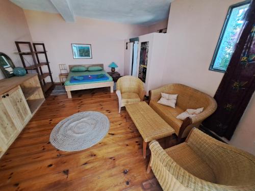 ein Wohnzimmer mit einem Sofa, Stühlen und einem Bett in der Unterkunft Defora holiday in Žrnovo