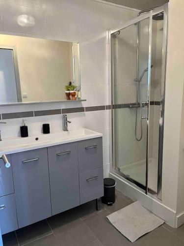 une salle de bain avec une douche et un lavabo et une cabine de douche en verre dans l'établissement Appartement cosy à 2 pas de la mer, idéal familles, à Canet