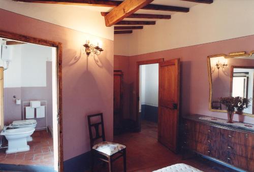a bathroom with a toilet and a mirror at antica casa "le rondini" in Borgo a Buggiano