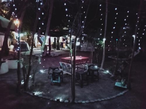 a picnic table in a park at night with lights at JUNGLE GYM LA UNION Prana fan kubo 2 pax in Rimus