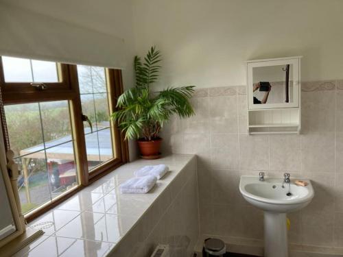 a white bathroom with a sink and a mirror at Bryntirion Farmhouse Rooms (with bathroom) in Llanfair Caereinion